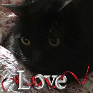 Meet your Posher, Christene